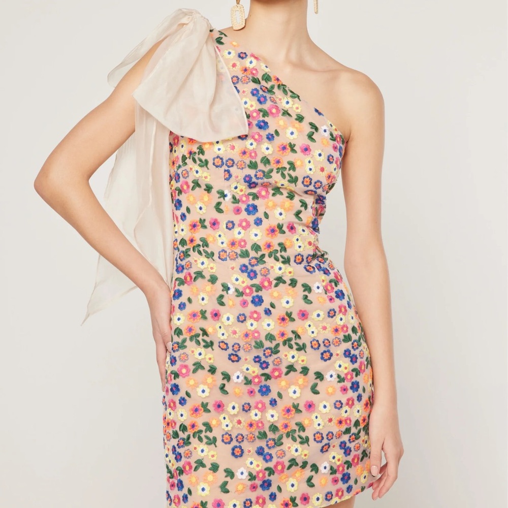 NWT - ELLIATT EXISTENCE DRESS -SMALL - Picture 5 of 9